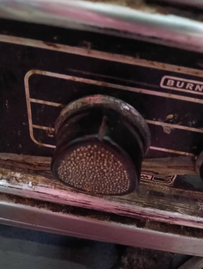 sky flame cooking range 1