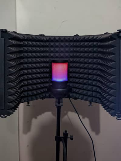 RGB Imported Usb Mic