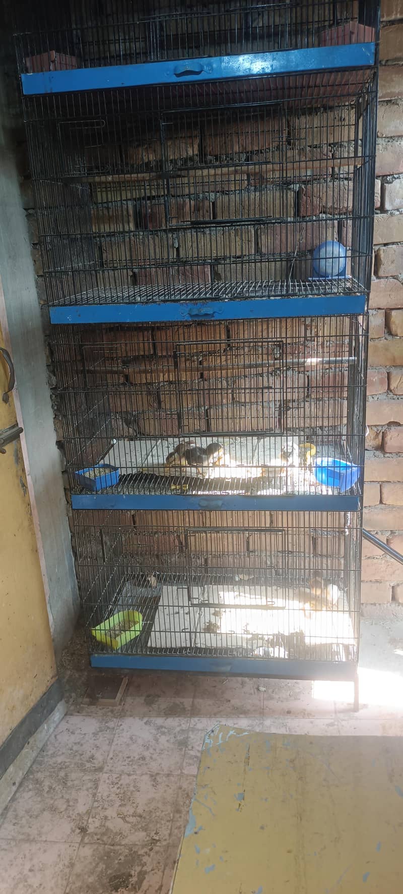 4 Portion Fix cage 0