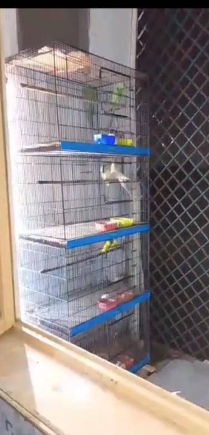 4 Portion Fix cage 2