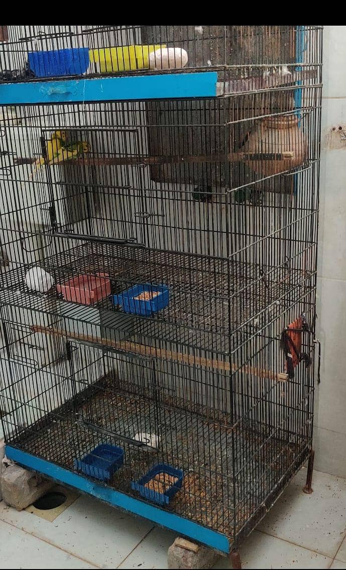 4 Portion Fix cage 3