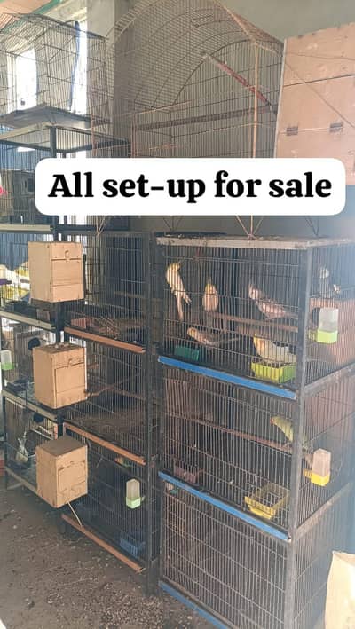 cages for sale. . .