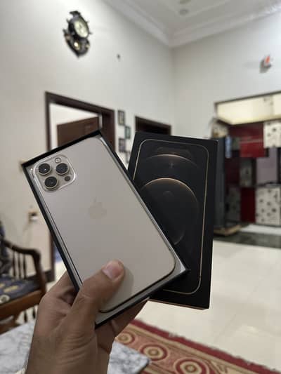 Iphone 12 pro max pta