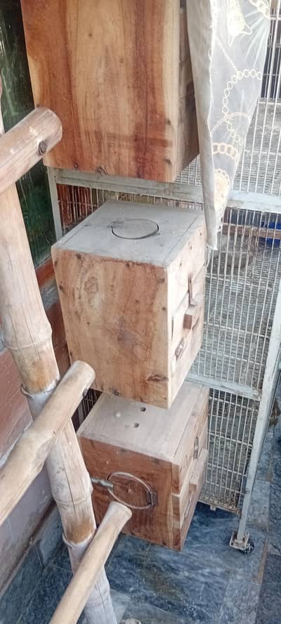 five cage five wood box