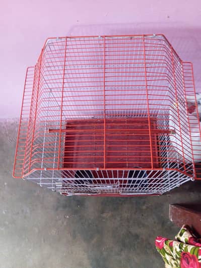 new cage for sale 03101020766