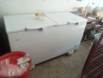 Haier D freezer