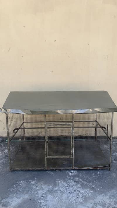 Birds Cage