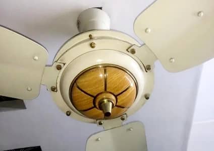 4 ROYAL FANS NEW CONDITION