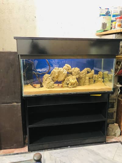 3 fit fish aquarium with fishes