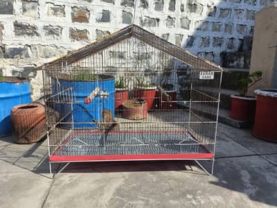 2 bird Cages