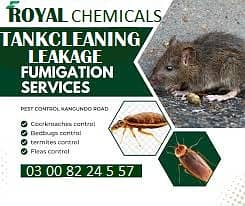 Pest control Termite Expert | Fumigation Services | Termite expert