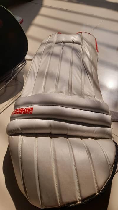 (bat not included ) and pads with pad cover new l guard