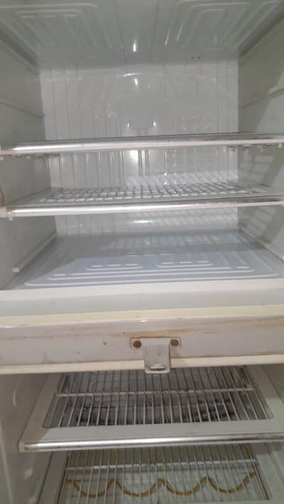 Urgent Sale Medium Size Grey