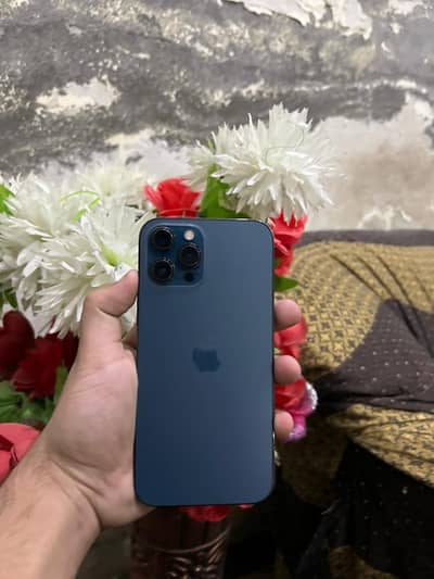 iPhone 12 Pro Max Factory