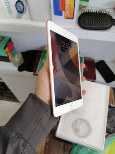 iPad Mini 5 Full Box 64GB