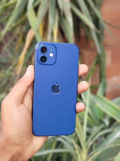 iPhone 12 128gb official pta approved (exchange possible)