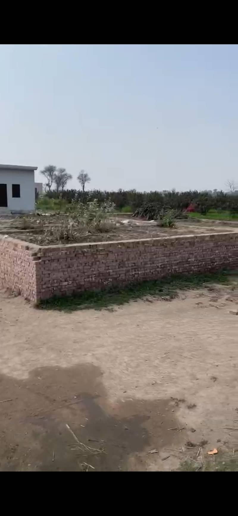 موضع حسنانہ بھکر روڈ چوکی علی آباد علاقے میں 5 مرلہ پلاٹ برائے فروخت 1