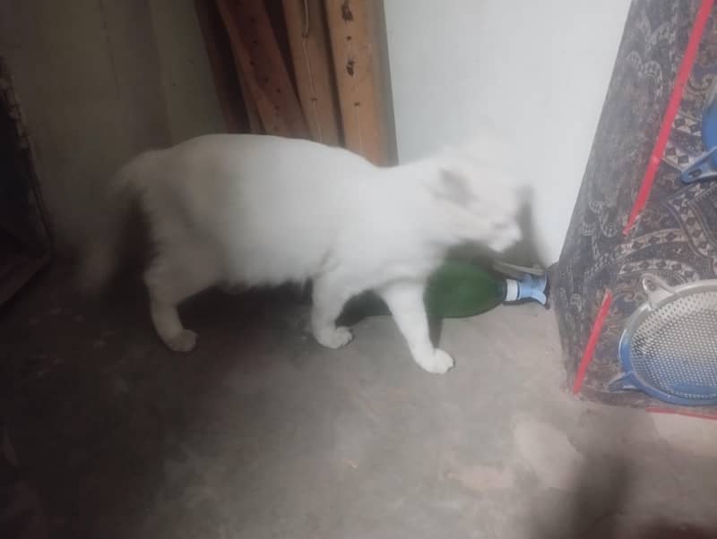 ma6948427@gmail. com 0