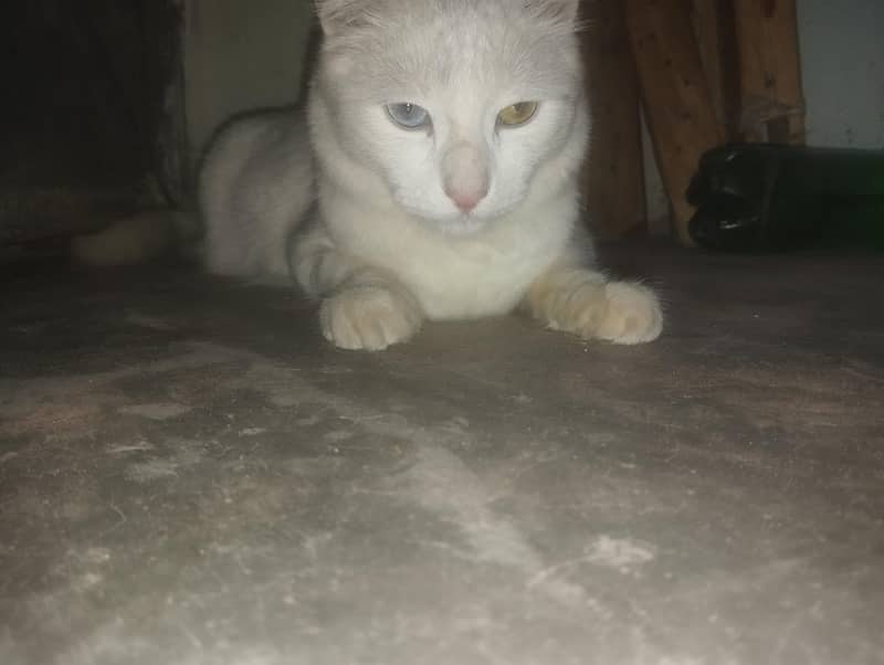 ma6948427@gmail. com 2