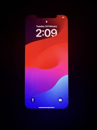 12 pro max jv pta approved