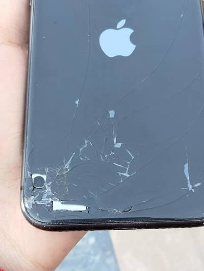 iphone 11 pta approved