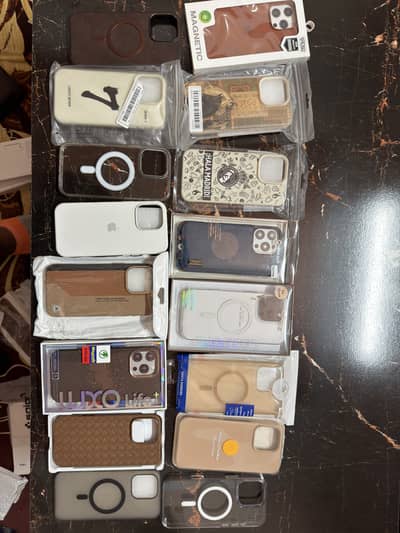 iPhone16 Pro Max covers used