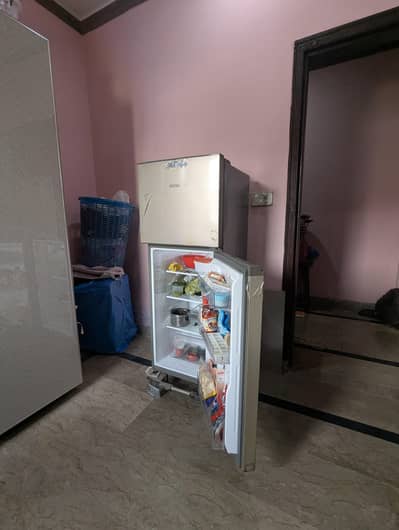 Haier Refrigerator HRF 186 EBS/EBD