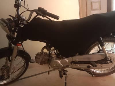 stream plus unique 2025/10