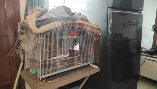 Sada Bahar extra large size cage for sell