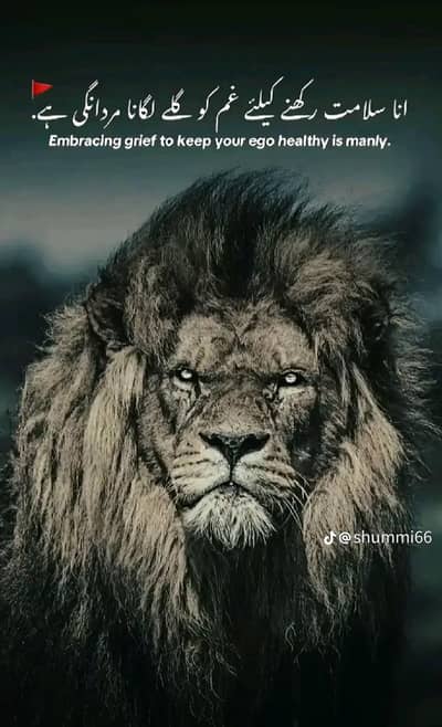 Aslamualikum  I need a job .