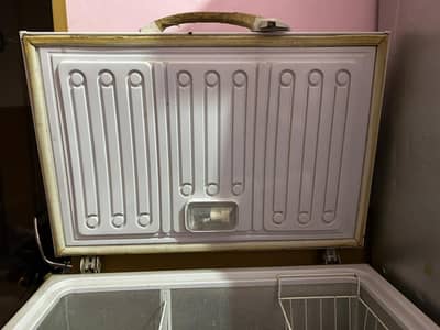 Waves Single Door Freezer for sale