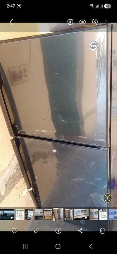 pell medium size fridge