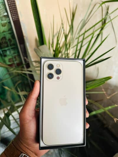 iPhone 12 Pro Max dual pta approved