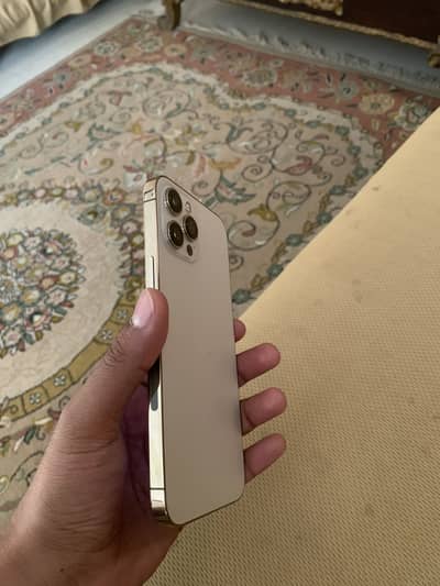 Iphone 12 pro max 256 gb