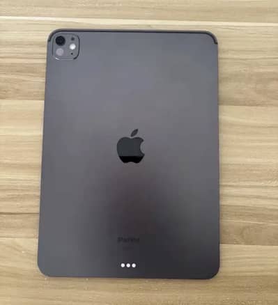 Ipad pro m4 chip 7th generation 256gb 13 inches i pad