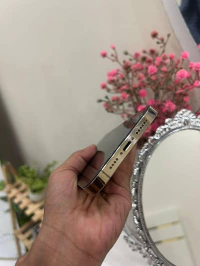 iphone 14 pro max FU