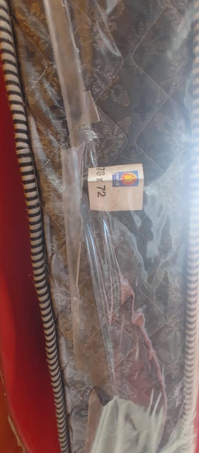 old spring master celeste