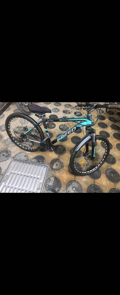 Speed 1010 mountain bike