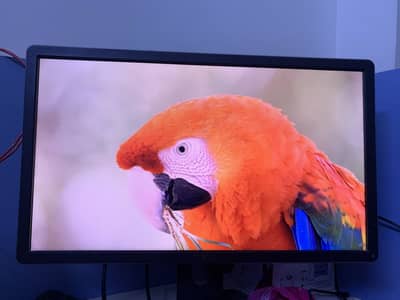 Dell 18 Inch Monitor For Sale