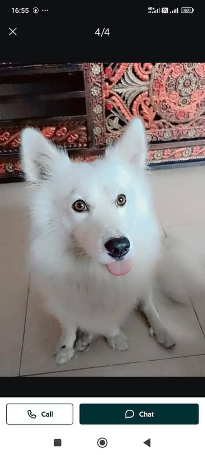 Available for meeting