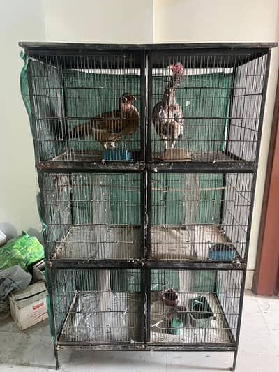 6 Portion cage and 2 hens