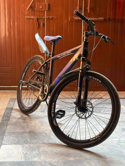 Gerik 24” Cycle for Sale – Good Condition