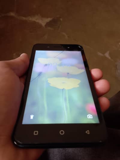 Urgent paise chaiyen han