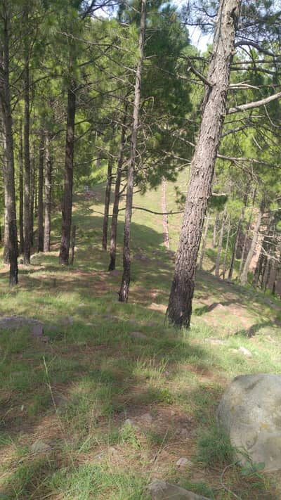 24 Marla Residential Plot Murree, Murree Resorts (Prime Location)