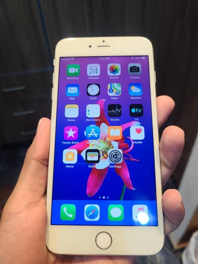 Iphone 6 Plus Pta Approved