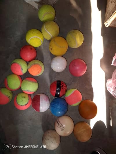 cricket ball for sale