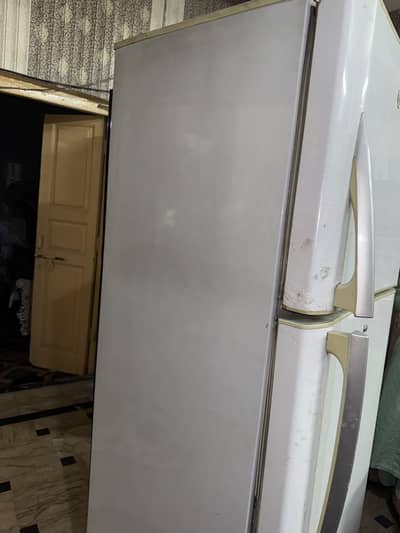 Pel fridge full size