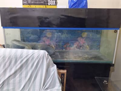 Fish Aquarium Tank 6 feet length