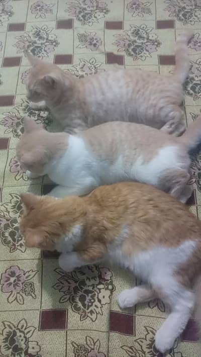 limited time available