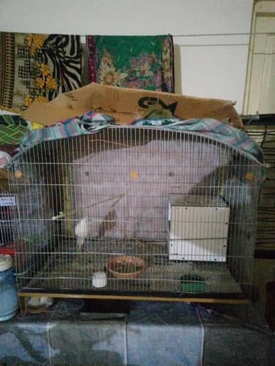 cage for birds